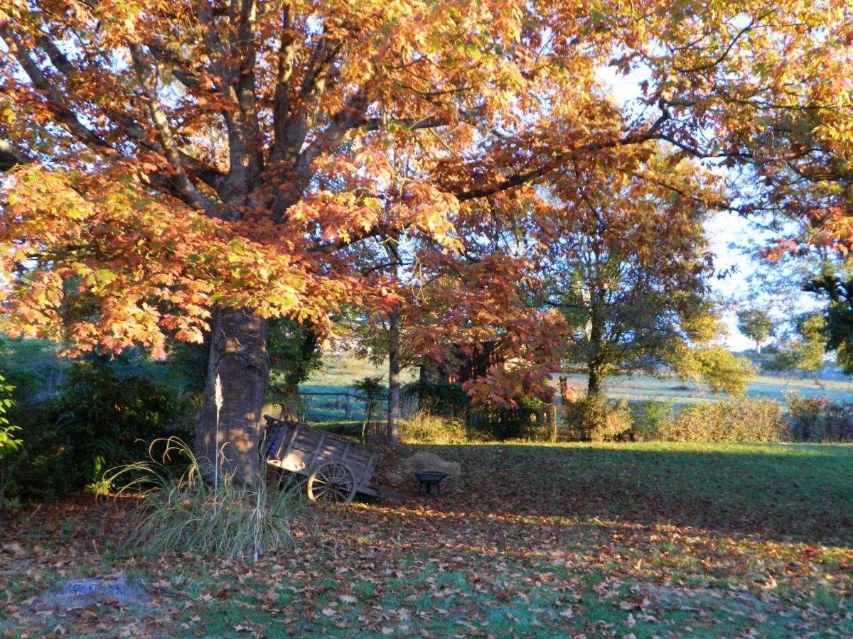Centre De Bien-Etre Et Ses Chambres D'Hote Villeneuve-de-Rivière エクステリア 写真