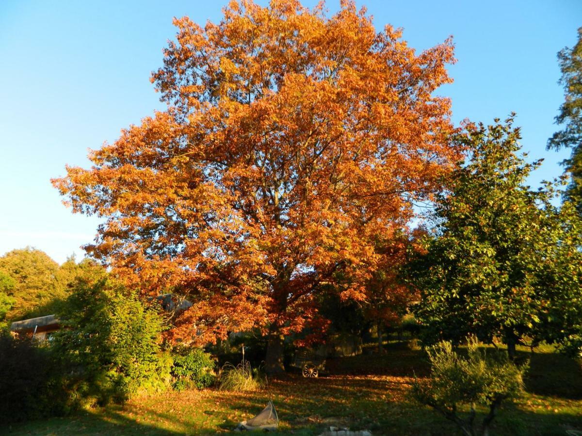 Centre De Bien-Etre Et Ses Chambres D'Hote Villeneuve-de-Rivière エクステリア 写真